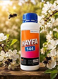 HAYFA-144  1 LT