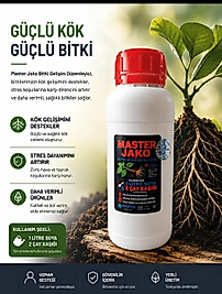 Master JAKO 500 cc
