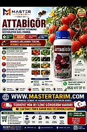 ATTABİGÖR 1 LT