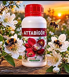 ATTABİGÖR 500 mL