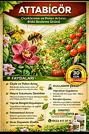 ATTABİGÖR 1 LT