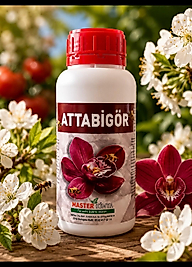 ATTABİGÖR 500 mL